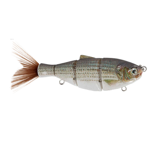 BD Shad Swimbait