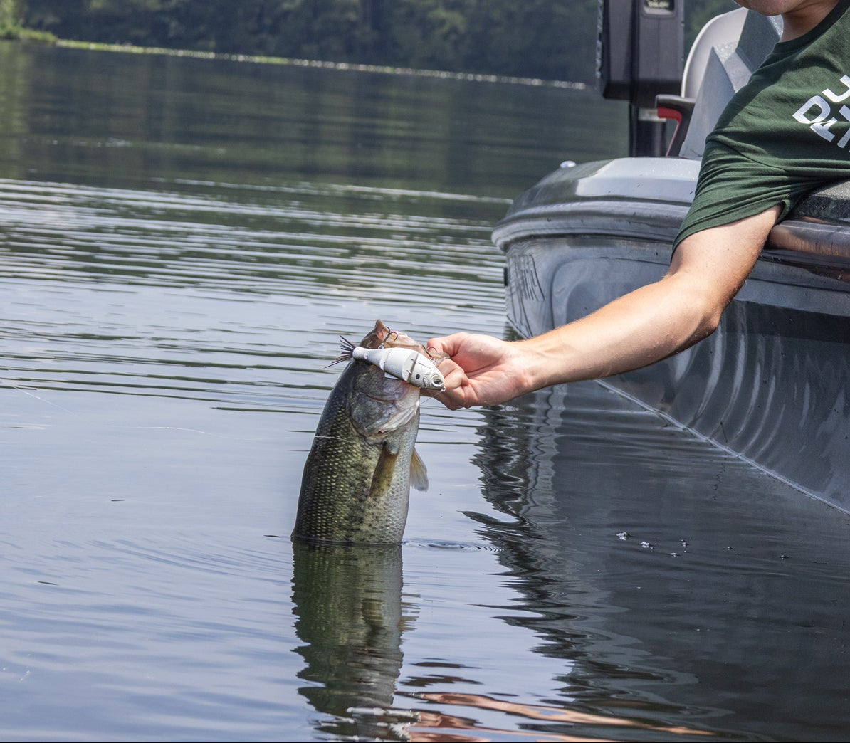BD Shad Swimbait